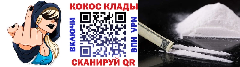 Кокаин FishScale  дарнет шоп  Елизово 