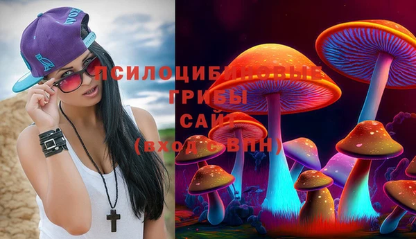 прущий лед Алексеевка