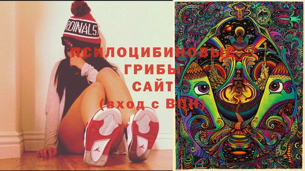 героин Алзамай