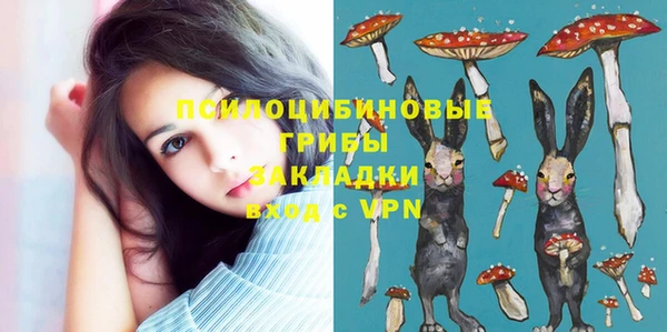 прущая мука Алексин