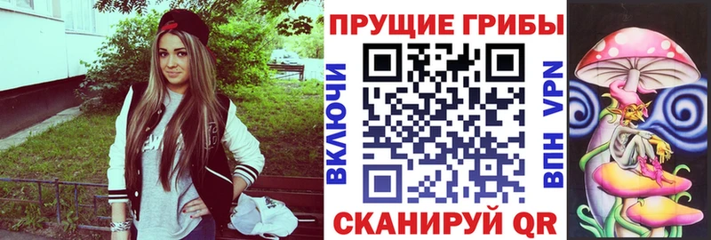Галлюциногенные грибы Psilocybe  купить   Елизово 