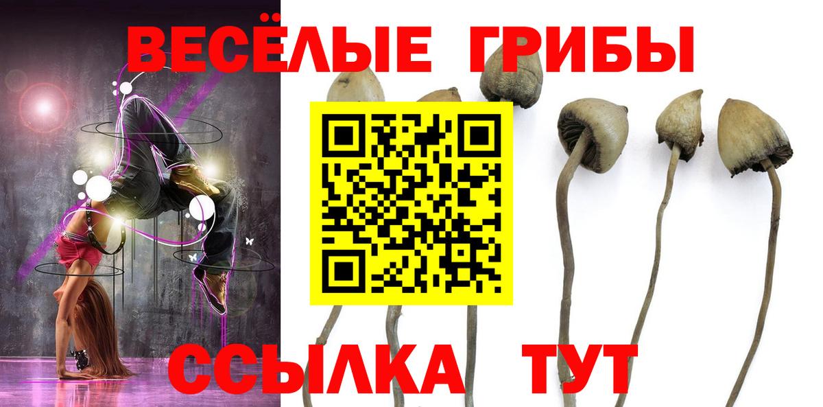 Псилоцибиновые грибы MAGIC MUSHROOMS Елизово