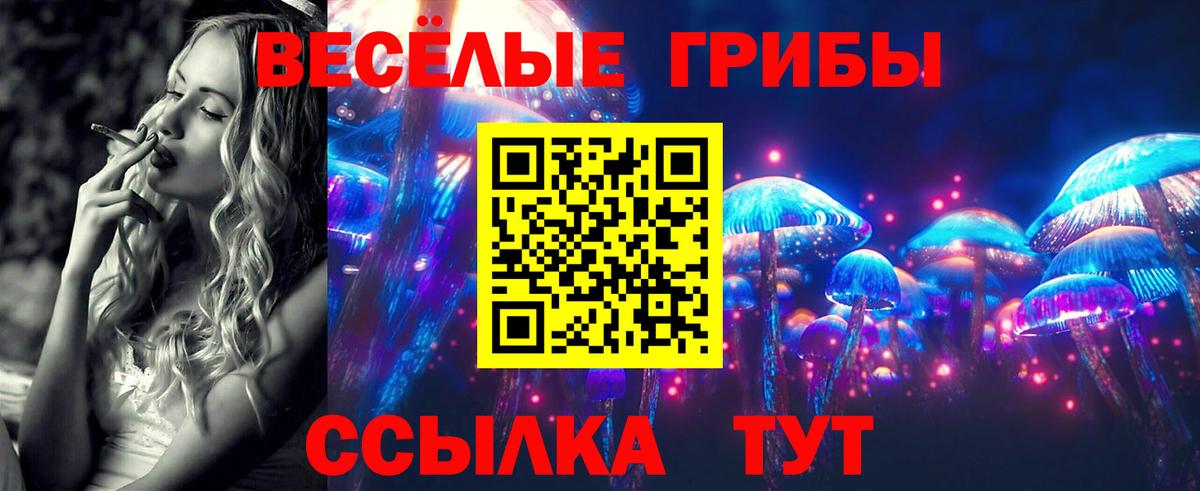 Галлюциногенные грибы Cubensis  купить   Елизово  Вход с VPN 