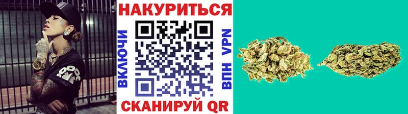 гидра ссылка Елизово Бошки Шишки план сколько стоит